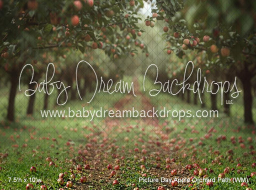 Picture Day Apple Orchard Path (WM)