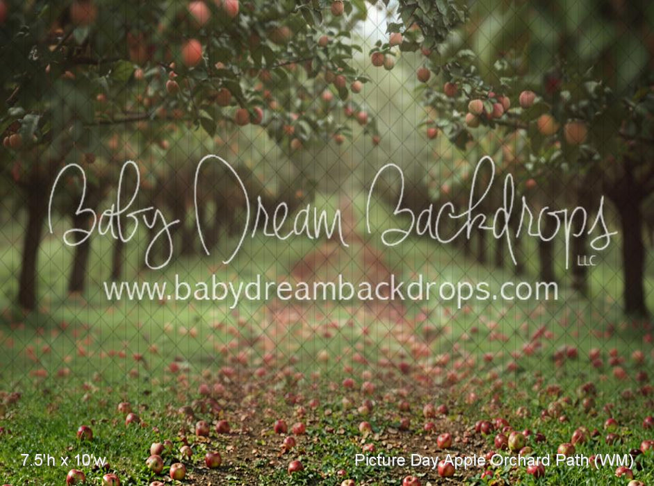 Picture Day Apple Orchard Path (WM)