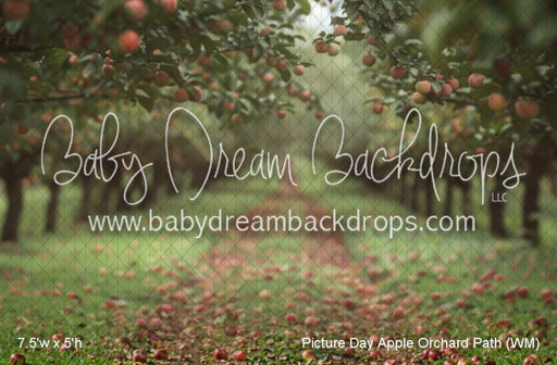 Picture Day Apple Orchard Path (WM)