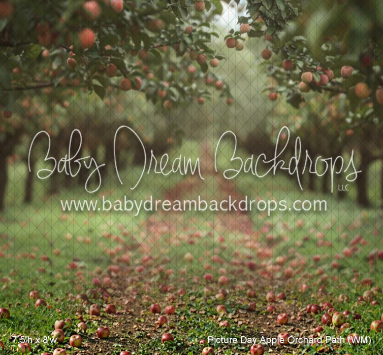 Picture Day Apple Orchard Path (WM)