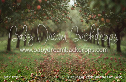 Picture Day Apple Orchard Path (WM)