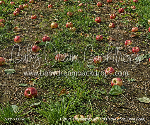 Picture Day Apple Orchard Path Fabric Floor (WM)