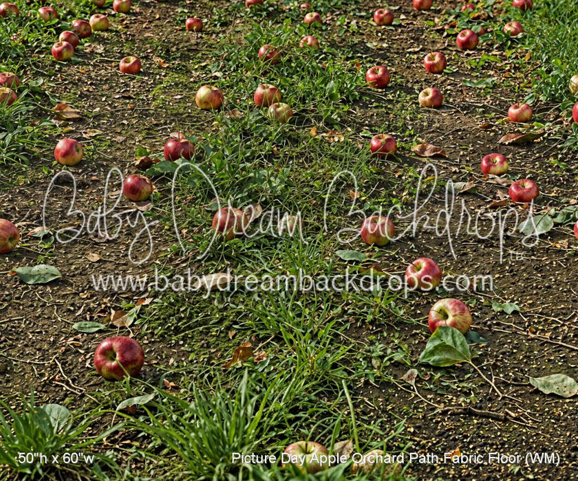 Picture Day Apple Orchard Path Fabric Floor (WM)