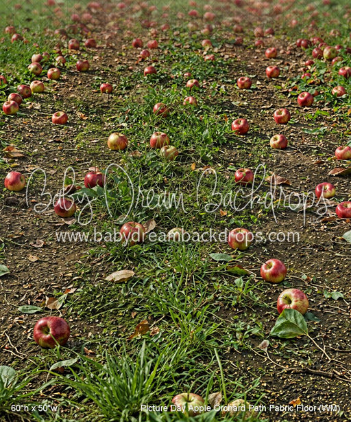 Picture Day Apple Orchard Path Fabric Floor (WM)