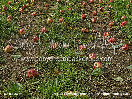 Picture Day Apple Orchard Path Fabric Floor (WM)