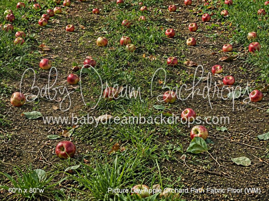 Picture Day Apple Orchard Path Fabric Floor (WM)