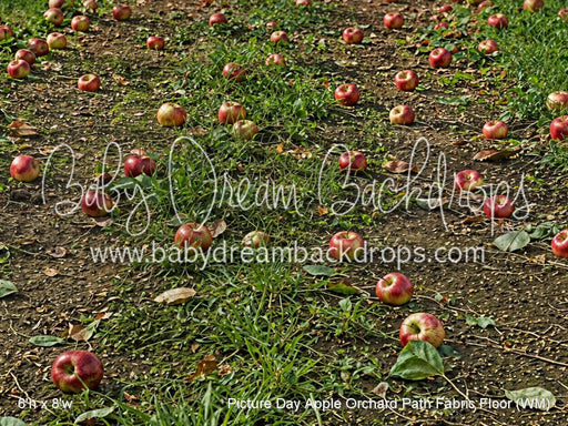 Picture Day Apple Orchard Path Fabric Floor (WM)