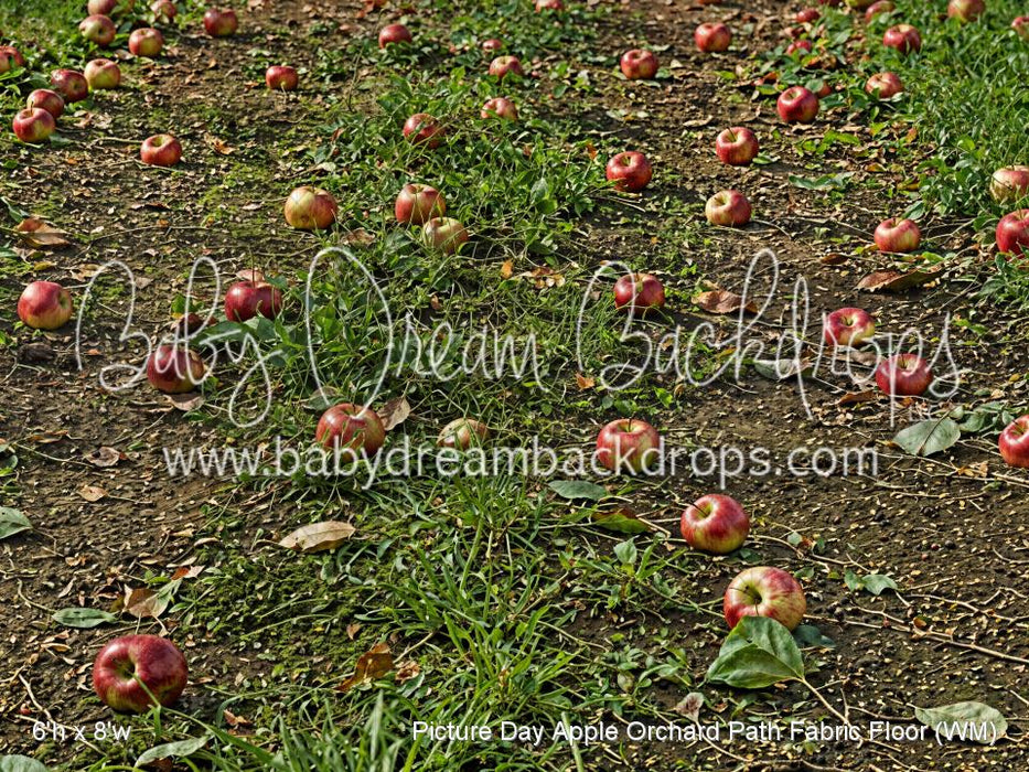 Picture Day Apple Orchard Path Fabric Floor (WM)