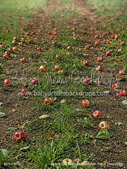 Picture Day Apple Orchard Path Fabric Floor (WM)