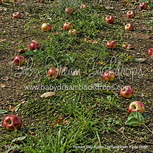 Picture Day Apple Orchard Path Floor (WM)