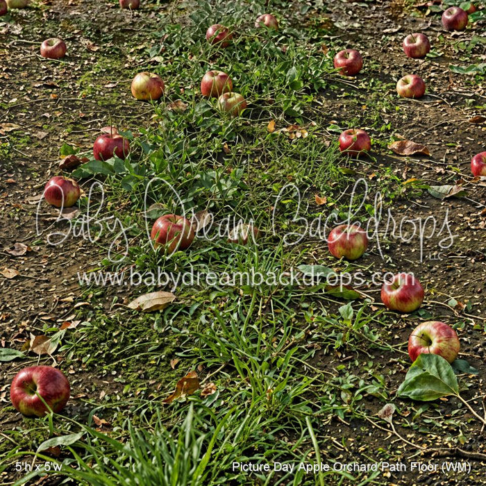 Picture Day Apple Orchard Path Floor (WM)