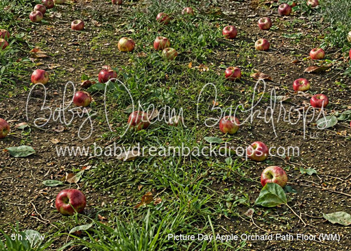 Picture Day Apple Orchard Path Fabric Floor (WM)