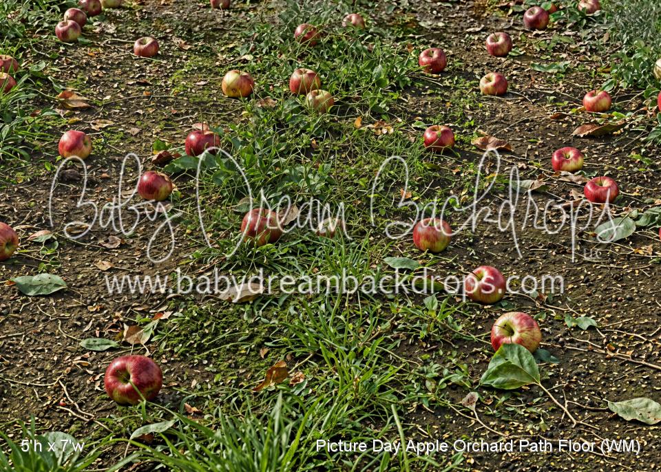 Picture Day Apple Orchard Path Fabric Floor (WM)
