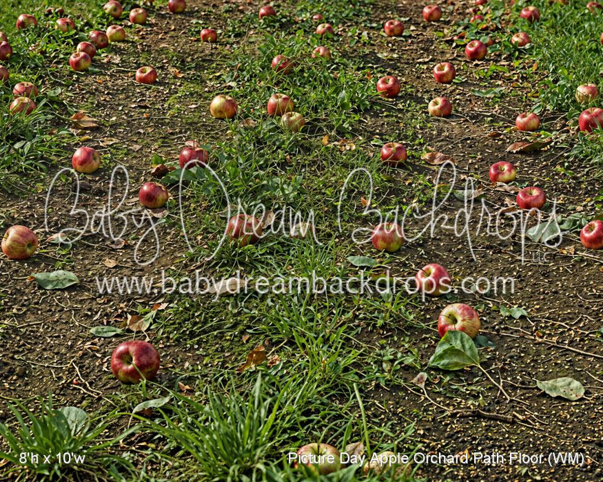 Picture Day Apple Orchard Path Floor (WM)