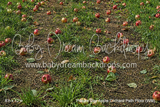 Picture Day Apple Orchard Path Fabric Floor (WM)