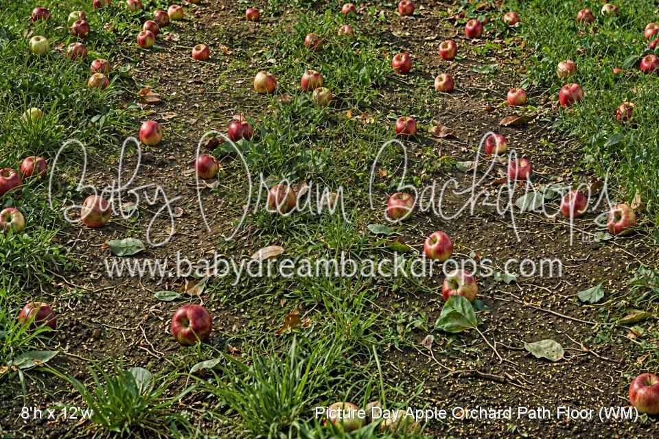 Picture Day Apple Orchard Path Floor (WM)