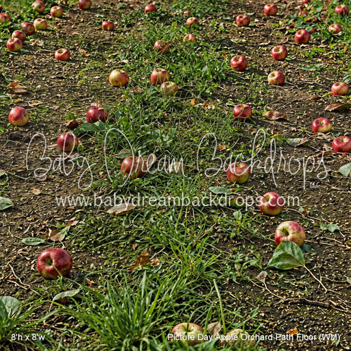 Picture Day Apple Orchard Path Fabric Floor (WM)