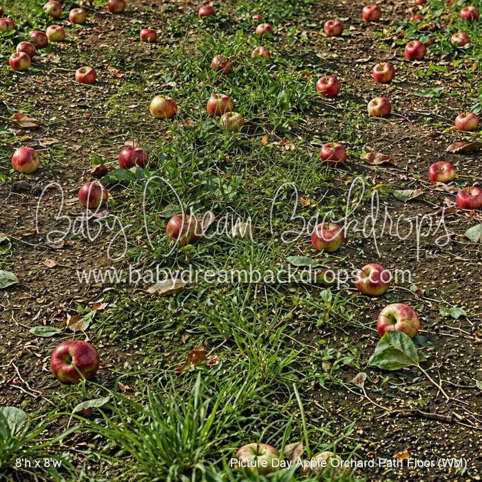 Picture Day Apple Orchard Path Fabric Floor (WM)