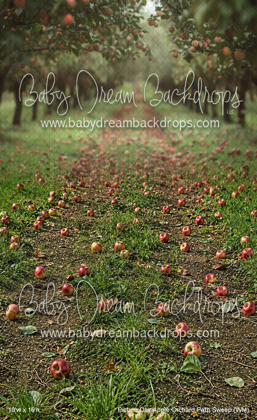 Picture Day Apple Orchard Path Sweep (WM)
