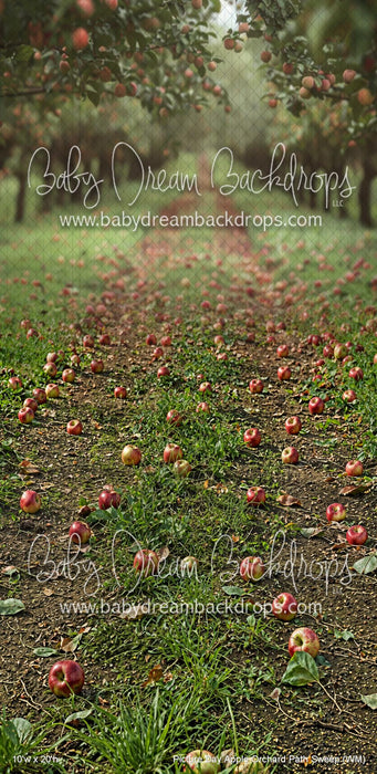 Picture Day Apple Orchard Path Sweep (WM)