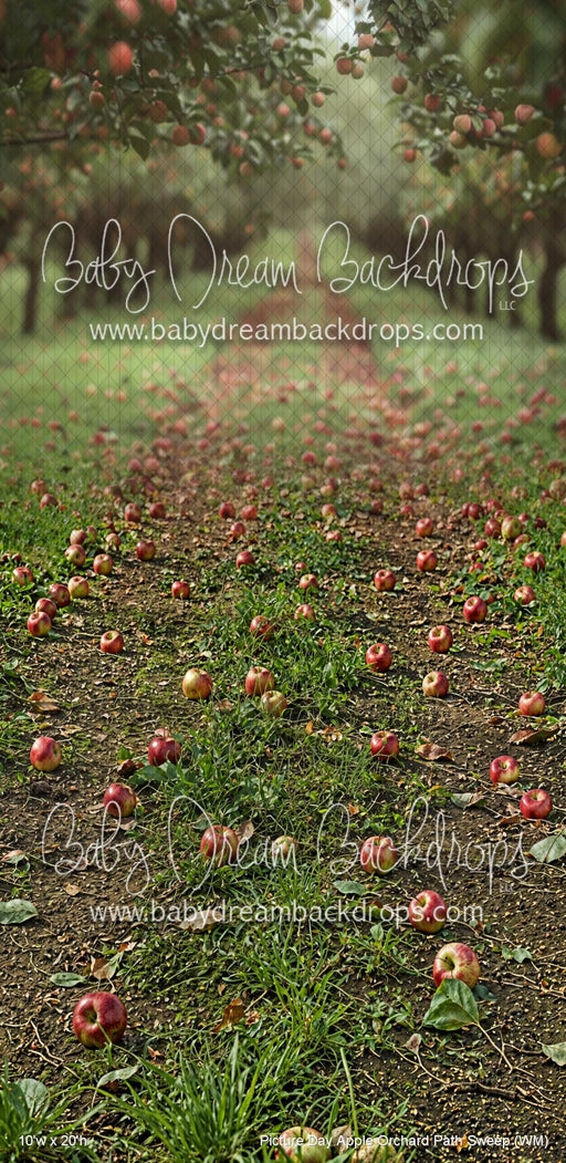 Picture Day Apple Orchard Path Sweep (WM)