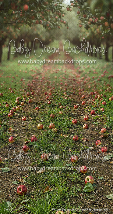 Picture Day Apple Orchard Path Sweep (WM)