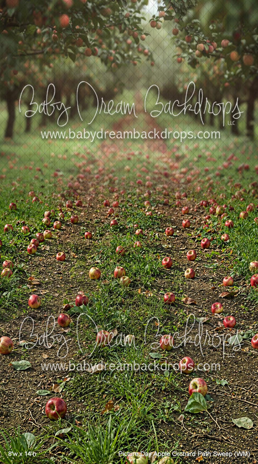 Picture Day Apple Orchard Path Sweep (WM)
