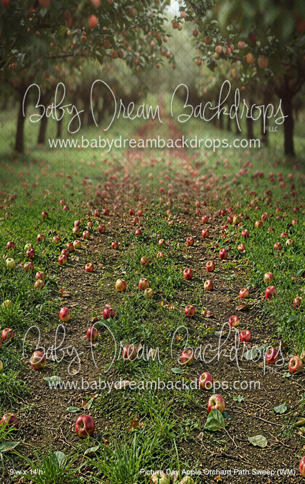 Picture Day Apple Orchard Path Sweep (WM)