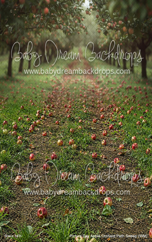 Picture Day Apple Orchard Path Sweep (WM)