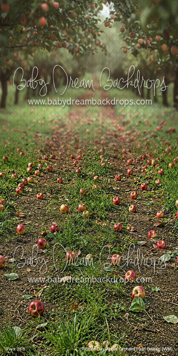 Picture Day Apple Orchard Path Sweep (WM)