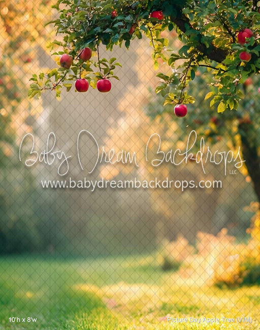 Picture Day Apple Tree (WM)