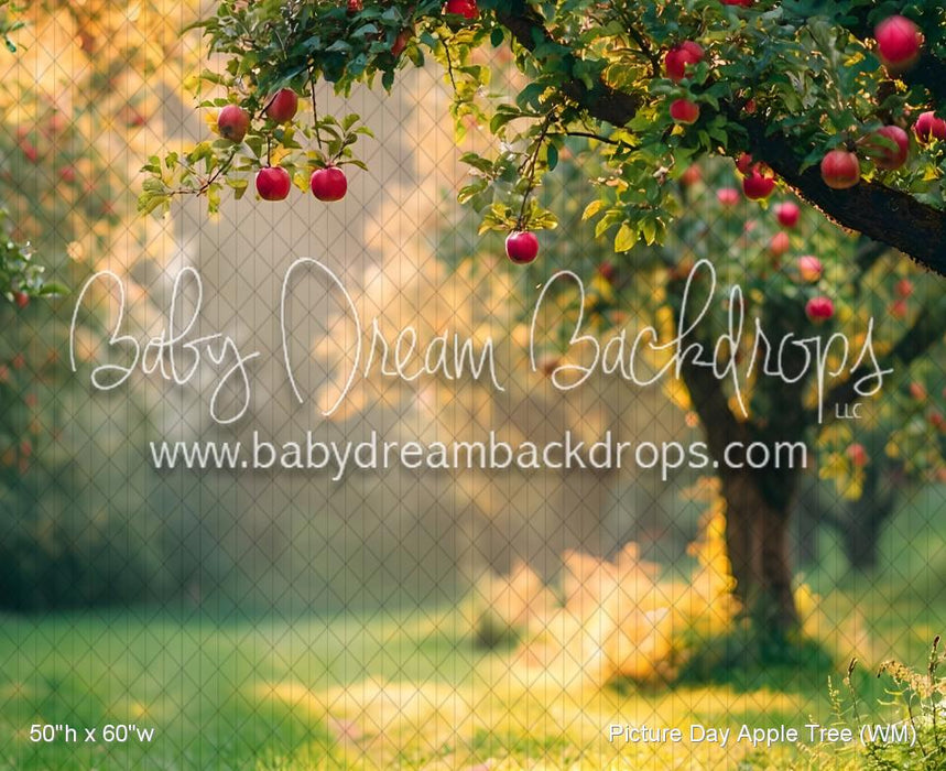 Picture Day Apple Tree (WM)