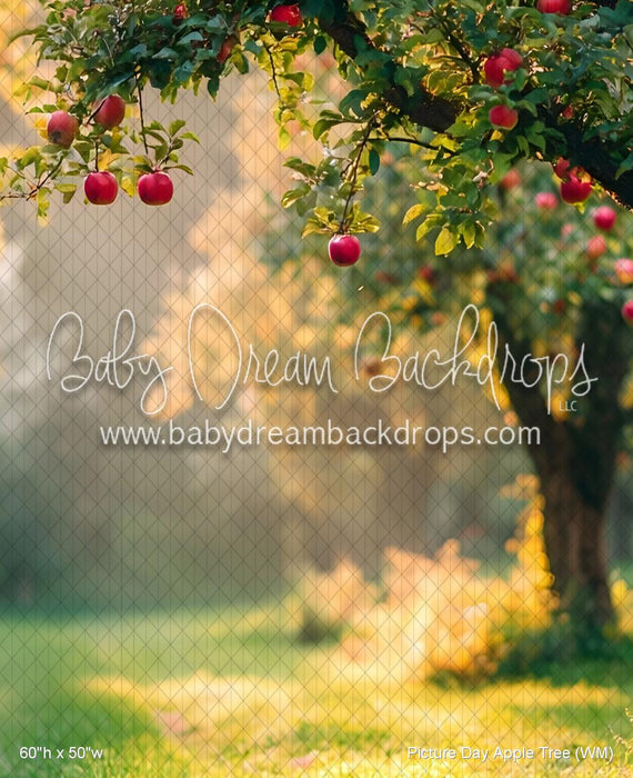 Picture Day Apple Tree (WM)