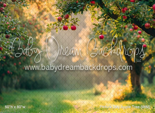 Picture Day Apple Tree (WM)