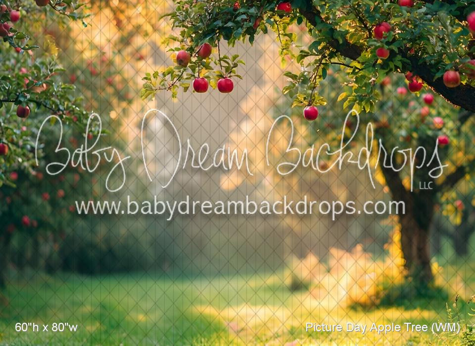 Picture Day Apple Tree (WM)