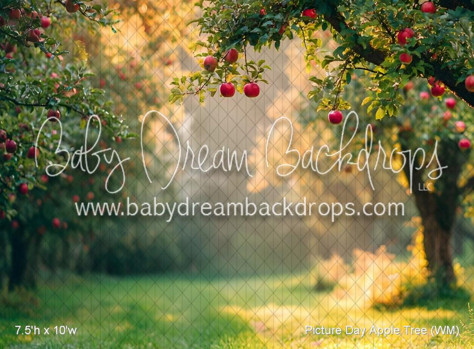 Picture Day Apple Tree (WM)