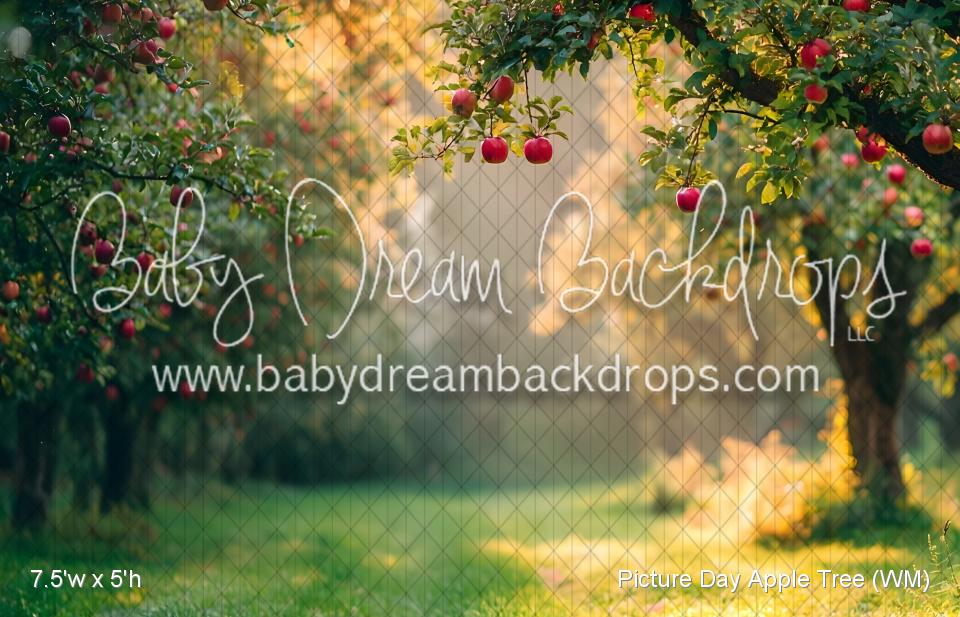 Picture Day Apple Tree (WM)