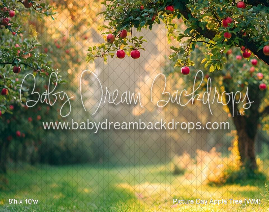 Picture Day Apple Tree (WM)