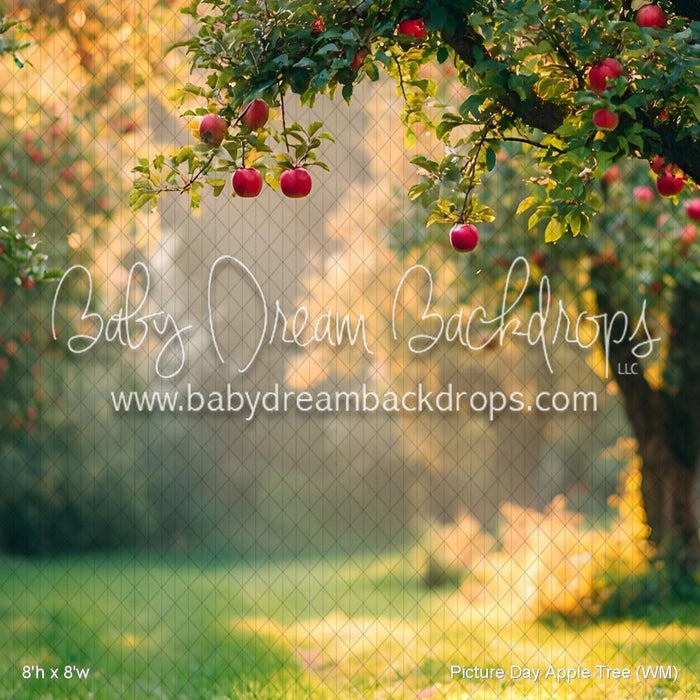 Picture Day Apple Tree (WM)