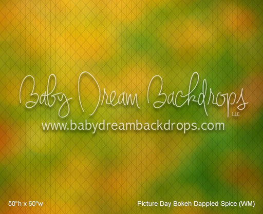 Picture Day Bokeh Dappled Spice (WM)