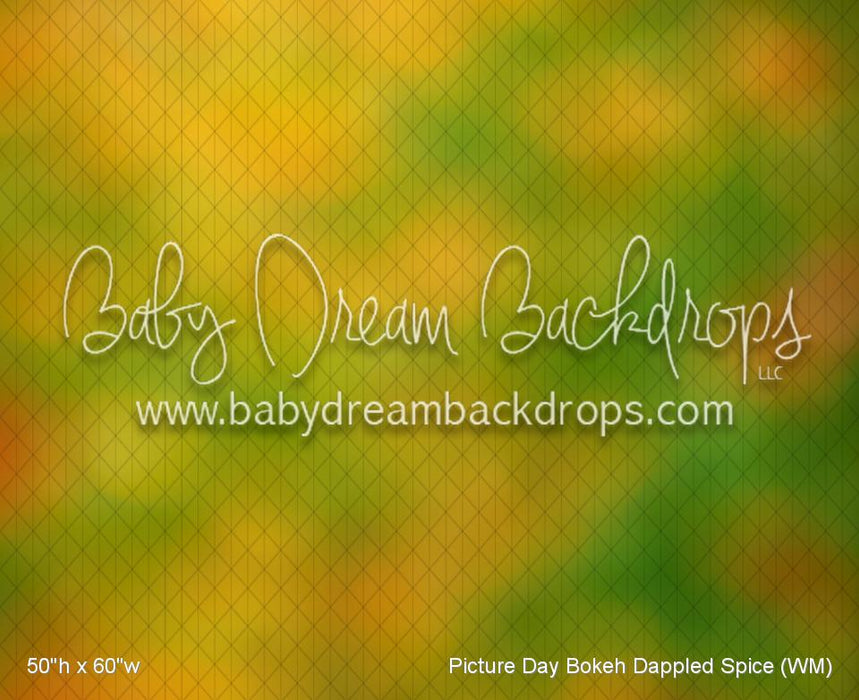 Picture Day Bokeh Dappled Spice (WM)