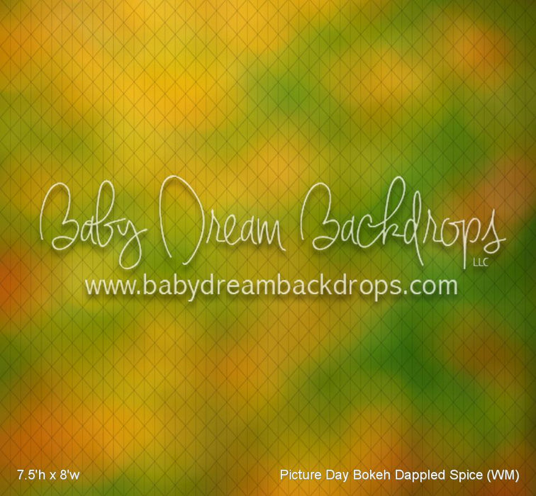 Picture Day Bokeh Dappled Spice (WM)
