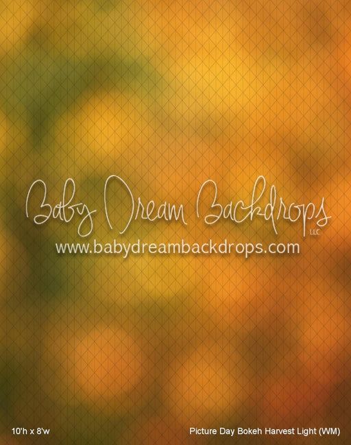 Picture Day Bokeh Harvest Light (WM)