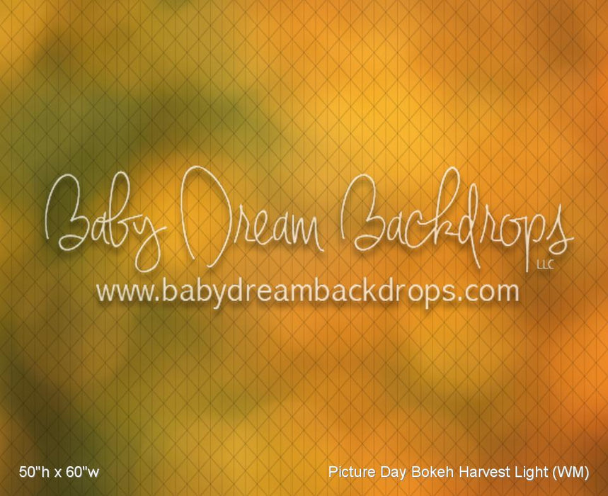 Picture Day Bokeh Harvest Light (WM)