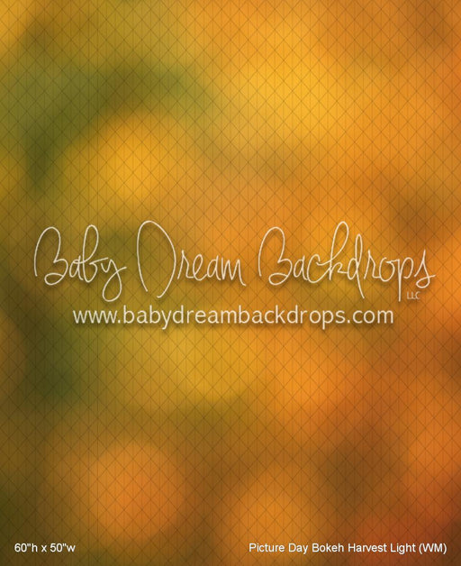 Picture Day Bokeh Harvest Light (WM)