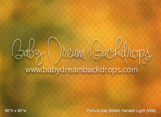 Picture Day Bokeh Harvest Light (WM)