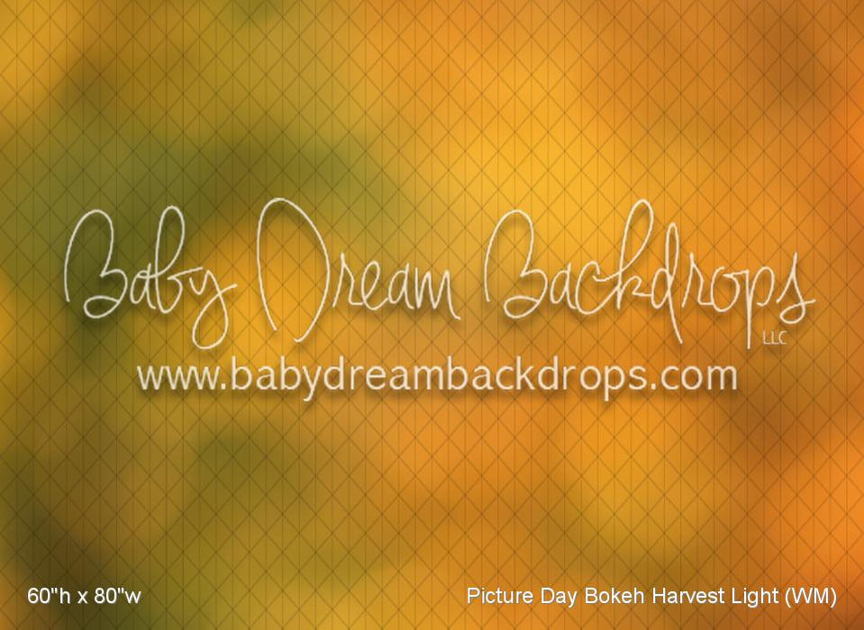 Picture Day Bokeh Harvest Light (WM)