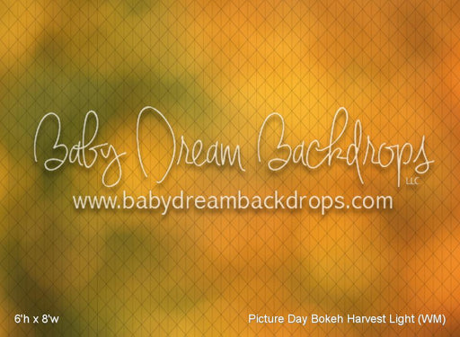 Picture Day Bokeh Harvest Light (WM)