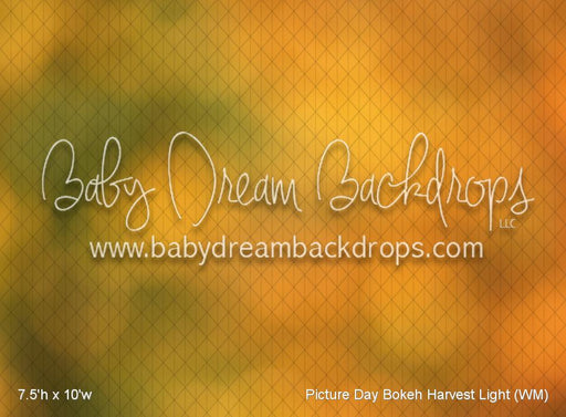 Picture Day Bokeh Harvest Light (WM)