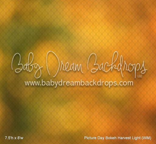 Picture Day Bokeh Harvest Light (WM)